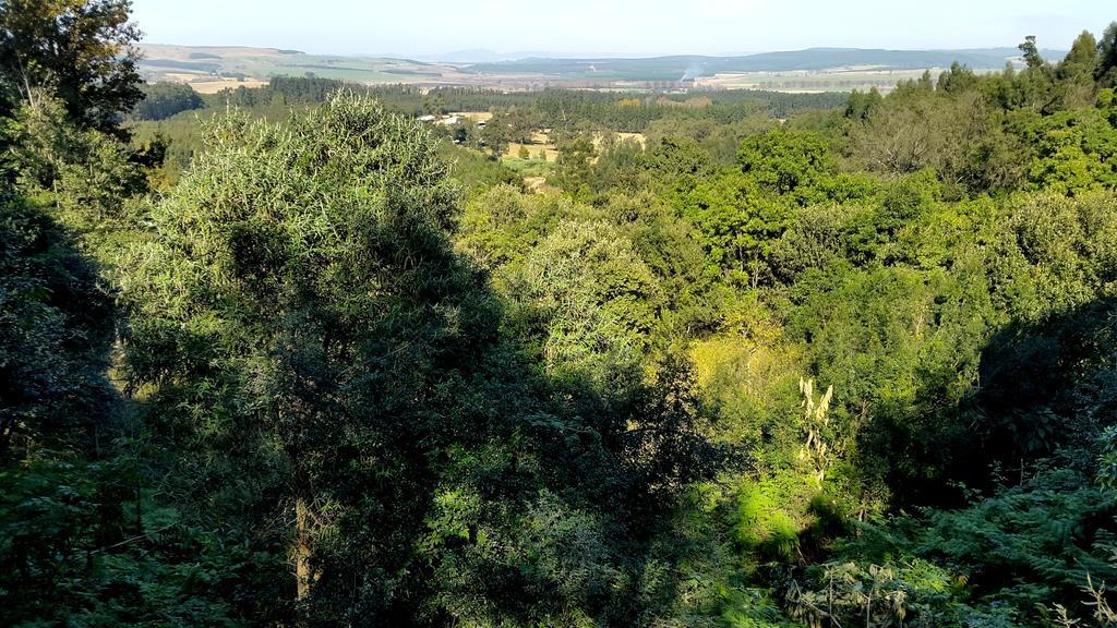 Evergreen Cabin Karkloof Ярроу Экстерьер фото